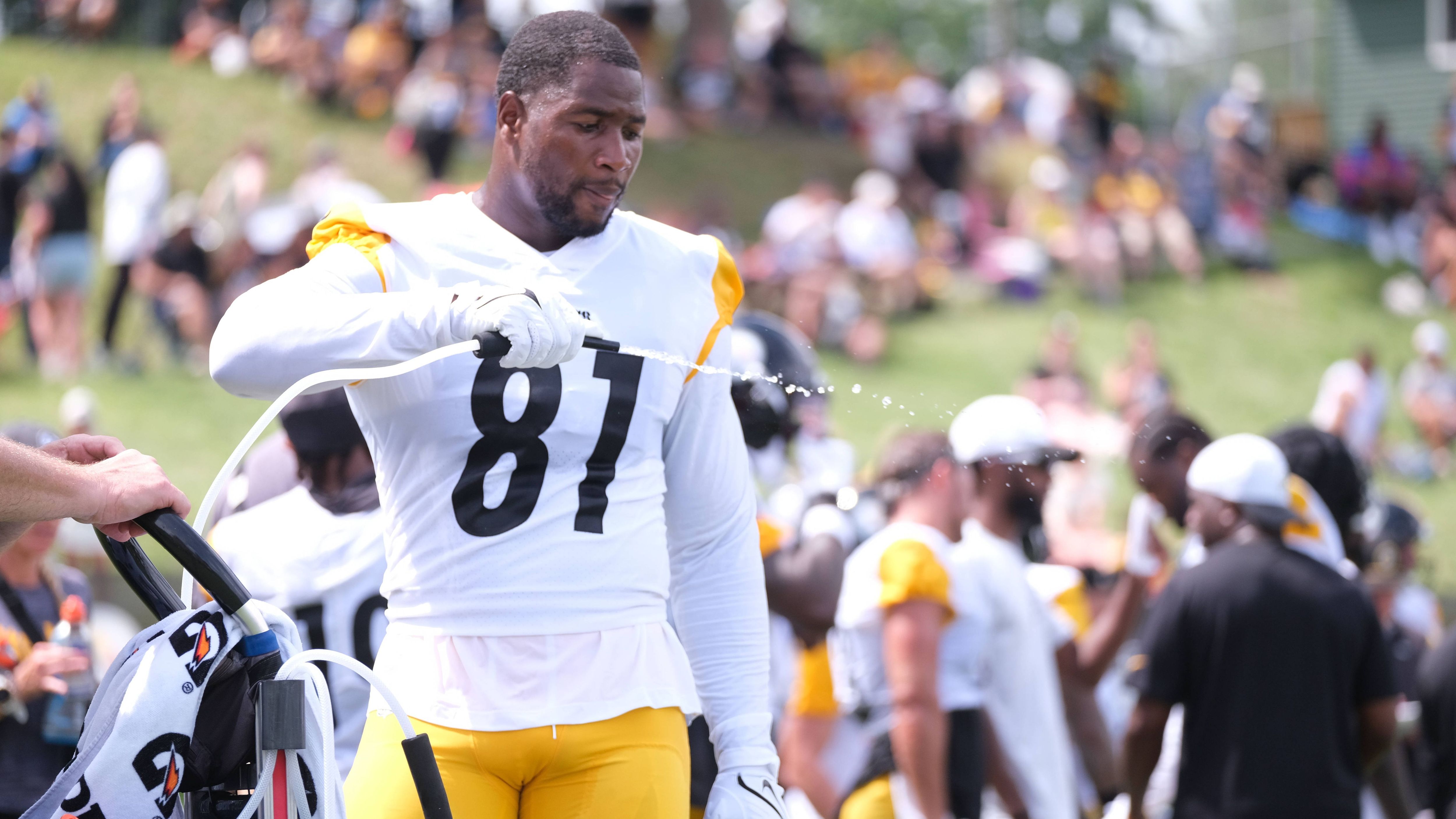 <strong>Tight End: Jonnu Smith (Pittsburgh Steelers)</strong><br>Aaron Rodgers und D.K. Metcalf dürften das Passspiel bei den Steelers bestimmen, doch dahinter hat der Quarterback-Routinier nur wenige Receiver von Format. Umso wichtiger sind die beiden Tight Ends Pat Freiermuth und Jonnu Smith. Pittsburgh dürfte oft mit beiden gemeinsam als Quasi-Receiver agieren. Und gerade Smith hat 2024 bei den Dolphins gezeigt, was er kann: 884 Yards und acht Touchdowns standen zu Buche.
