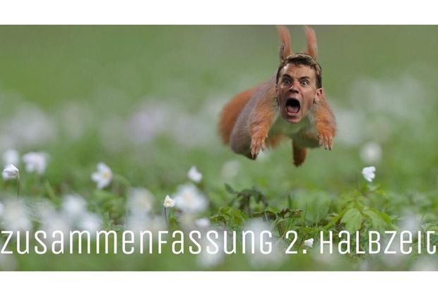 
                <strong>Flink wie ein Eichhörnchen </strong><br>
                Neuer ist zum elften Feldspieler geworden.
              