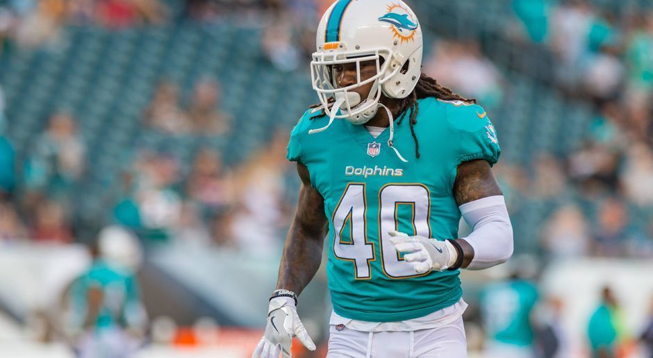
                <strong>12. Miami Dolphins</strong><br>
                Die Dolphins machen Lust auf Urlaub: Türkis wie das Meer am Sunshine State, dazu das Helmlogo mit dem springenden Delphin im Sonnenlicht. Sicher, das ist ungefähr so angriffslustig wie der Lions-Löwe, aber angenehm anzuschauen.
              