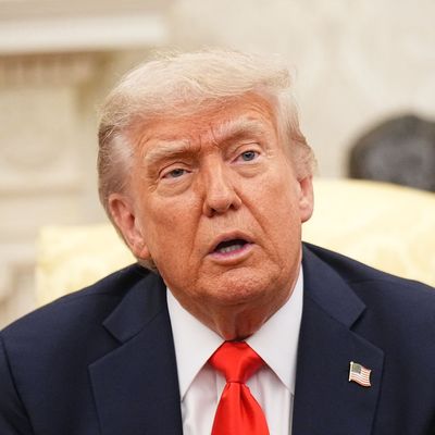US-Präsident Trump empfängt Bundeskanzler Merz