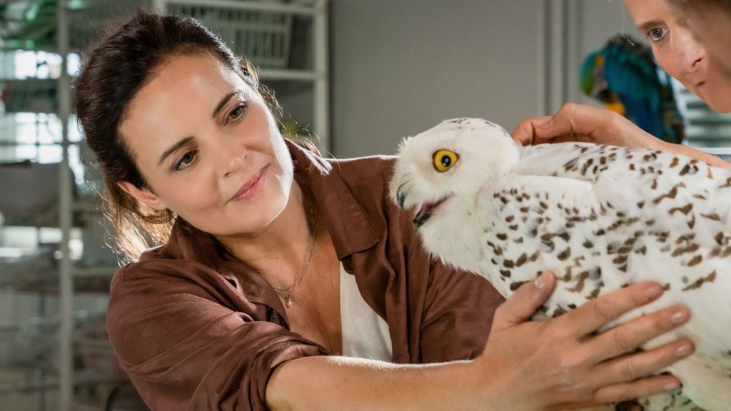 Elisabeth Lanz verrät: So erlebt sie die Arbeit mit Tieren am "Tierärztin Dr. Mertens"-Set