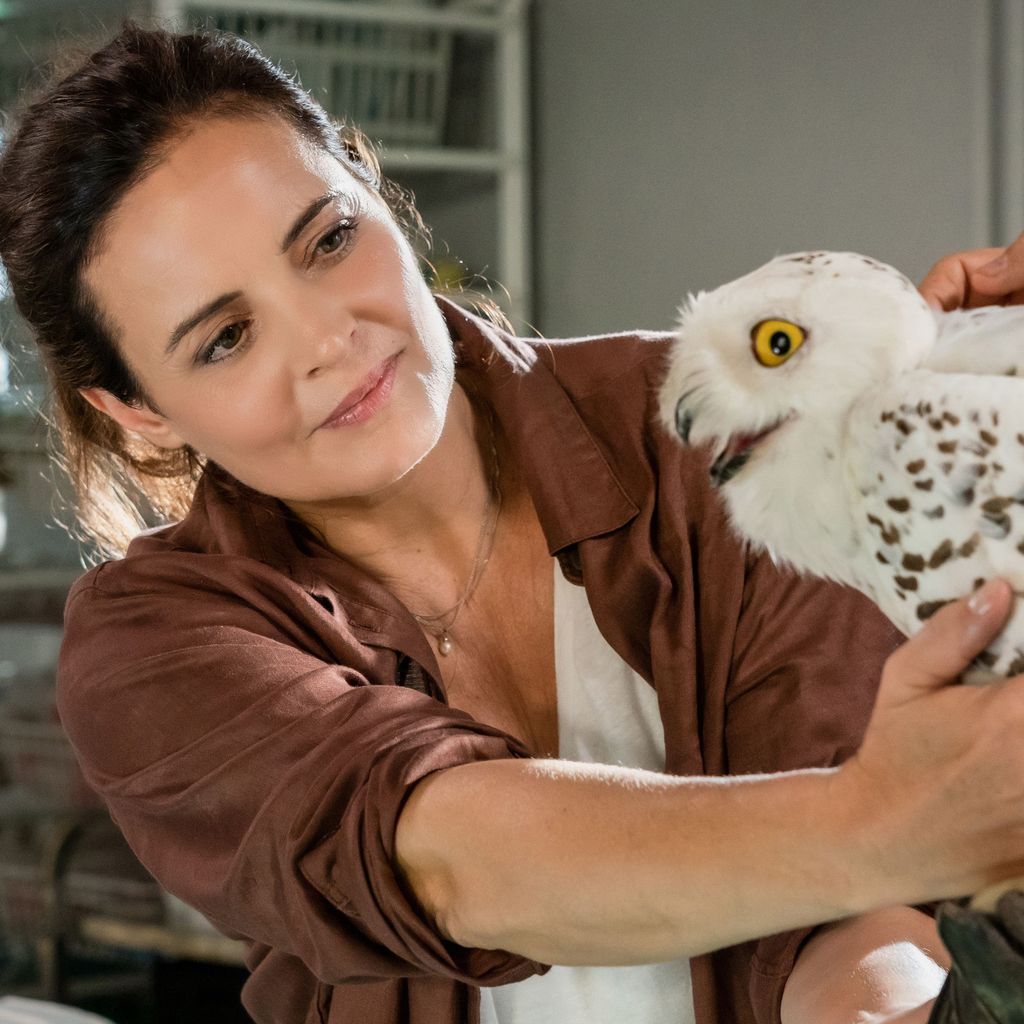"Tierärztin Dr. Mertens": Elisabeth Lanz zu der Arbeit mit Tieren