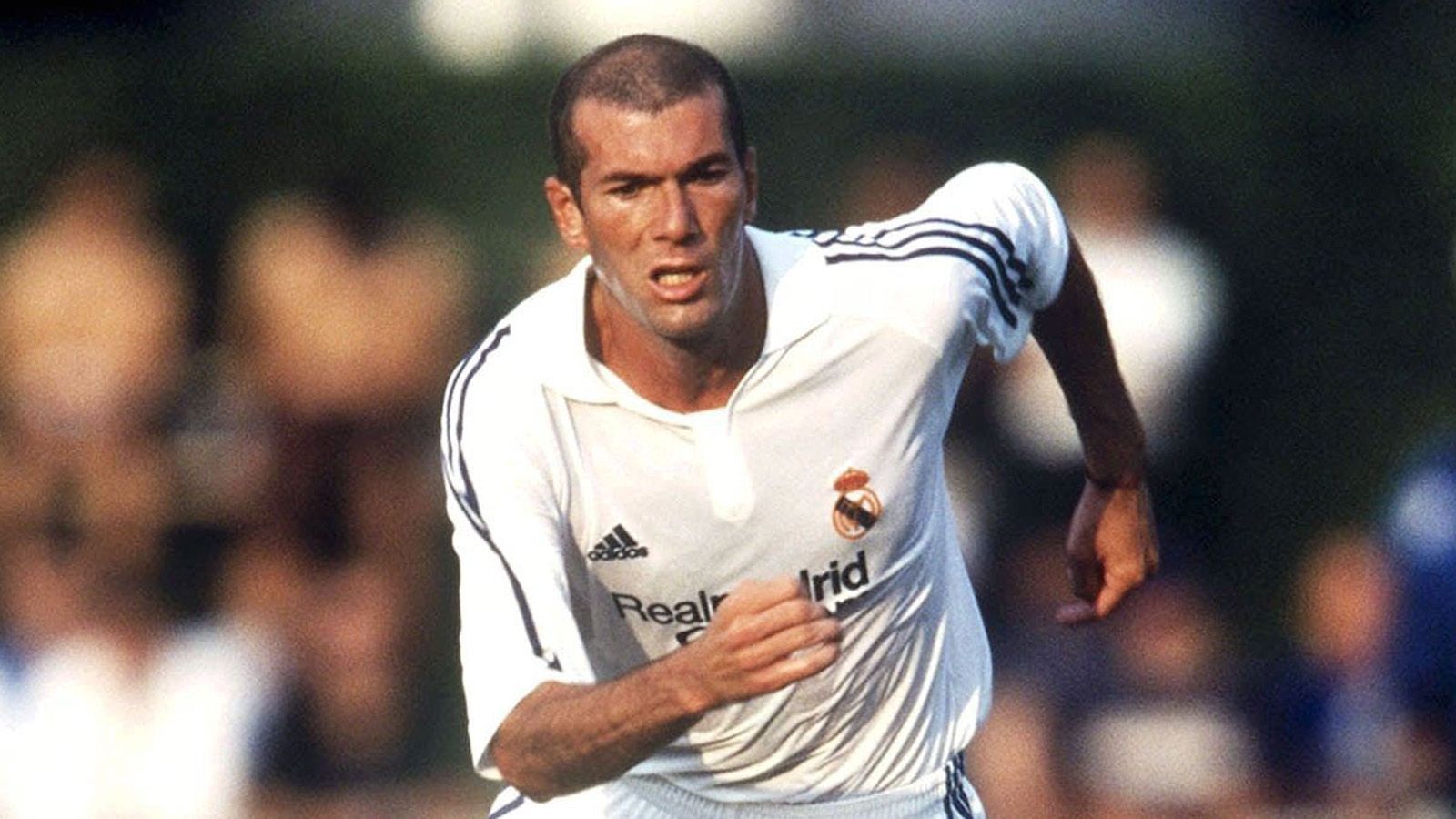 
                <strong>Zinedine Zidane (2001)</strong><br>
                Der Muskulöseste war Ballkünstler Zinedine Zidane noch nie...
              