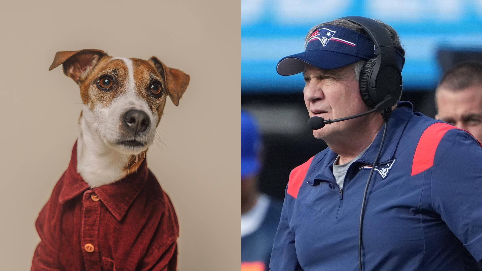 <strong>Bill Belichick findet neuen Job</strong><br>Allerdings nicht in der NFL. Der Kulttrainer der Patriots kehrt in seine Heimat Nashville, Tennessee, zurück und arbeitet künftig als Hundetrainer. Coach bleibt nun mal Coach. "For eighty set wuff".