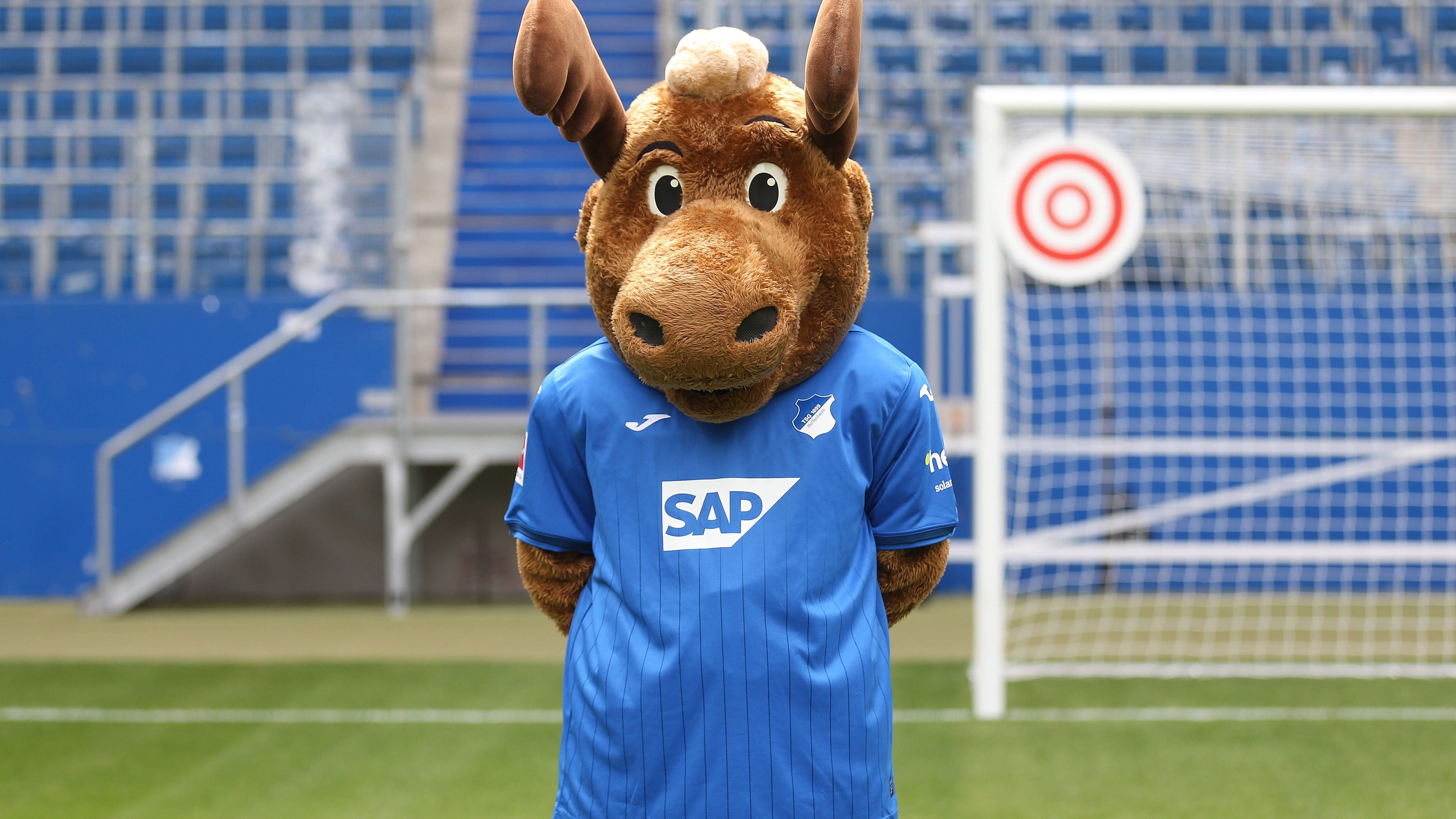 <strong>TSG 1899 Hoffenheim: Hoffi</strong><br>Bei den Kraichgauern läuft ein 2,10-Meter-Elch durch das Stadion. Hoffi heißt der Glücksbringer des Vereins.