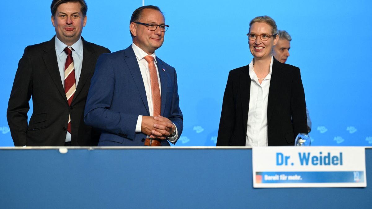 Maximilian Krah, Tino Chrupalla, Alice Weidel