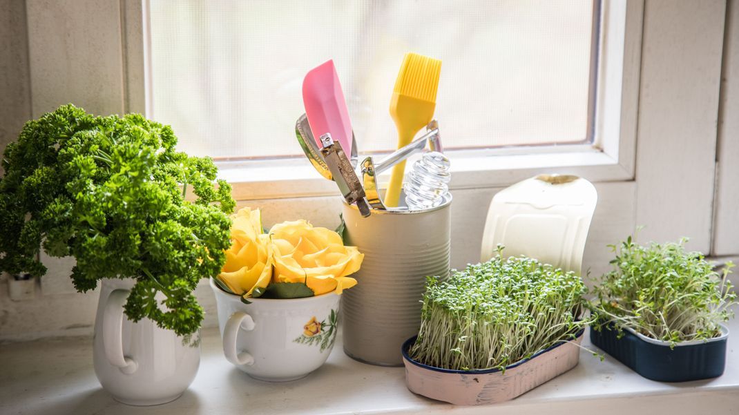 Kresse liebt Konserve: Eine unserer DIY-Dekoideen für die Küche, die du ruckzuck umsetzen kannst.