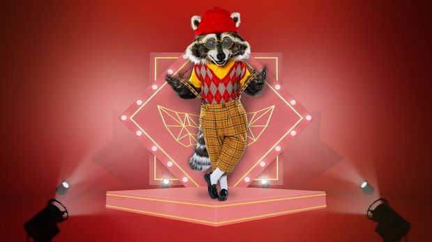 The Masked Singer - Der Waschbär