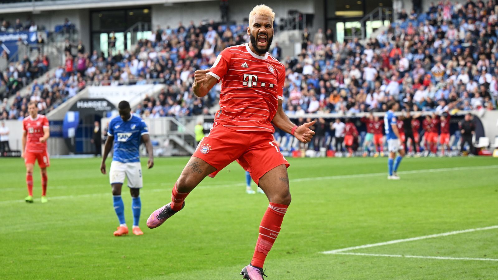 
                <strong>Eric Maxim Choupo-Moting</strong><br>
                Vor dem Spiel gibt es bei "Sky" Lob von Trainer Julian Nagelsmann für die starken Trainingsleistungen. In der Partie hat der Deutsch-Kameruner dann auch den ersten Abschluss nach elf Minuten und später erzielt der Stürmer das 2:0 für den Rekordmeister in Torjäger-Manier. Kurzum: Der Routinier empfiehlt sich in Sinsheim für weitere Einsätze in der FCB-Startelf. Nach 70 Minuten kommt der junge Tel für Choupo-Moting ins Spiel. ran-Note: 2
              