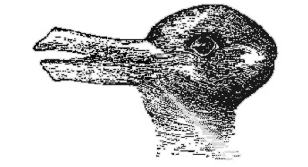 Kippbild: Die berühmte Hase-Ente-Illusion wurde bereits 1892 veröffentlicht. Dem Philosophen Ludwig Wittgenstein diente sie zur Argumentation für unterschiedliche Sichtweisen. Was siehst du zuerst?