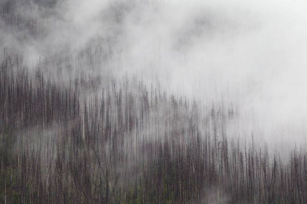 Vereinte Nationen warnen: So hart trifft der Klimawandel die Landwirtschaft