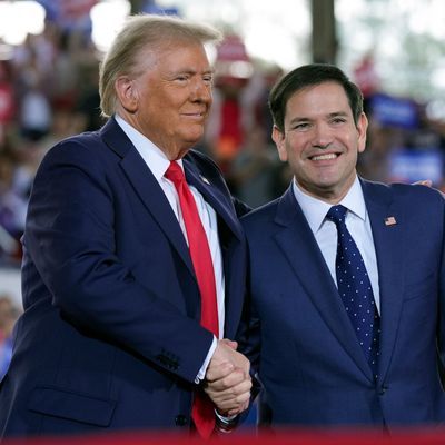 Trump will Senator Rubio zum Außenminister machen