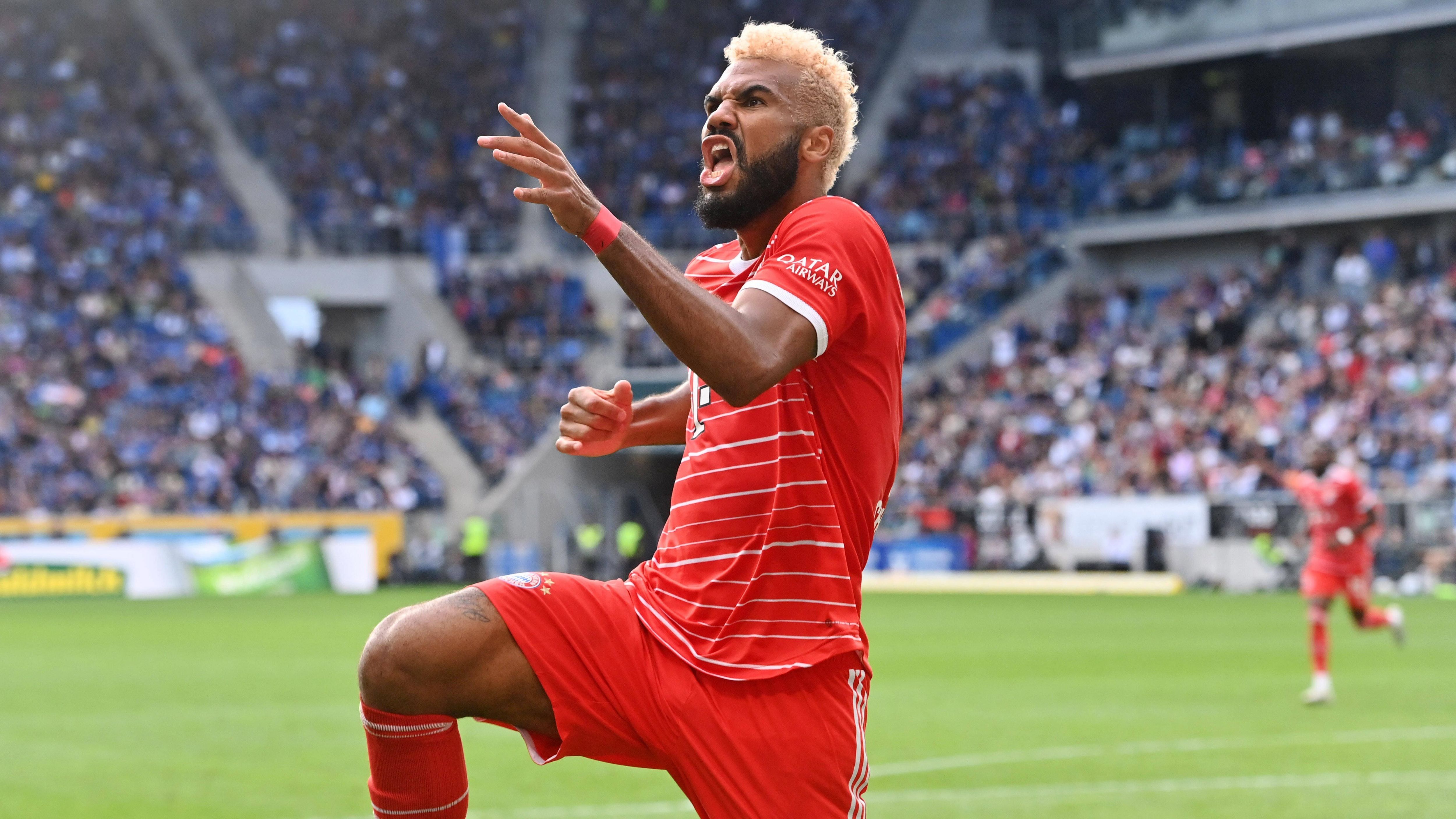 
                <strong>Kamerun</strong><br>
                Bundesliga-Rekordtorschütze des Landes: Erik-Maxim Choup Moting - Bundesliga-Tore: 54 - Vereine: FC Schalke 04, FSV Mainz 05, Hamburger SV, FC Bayern München
              