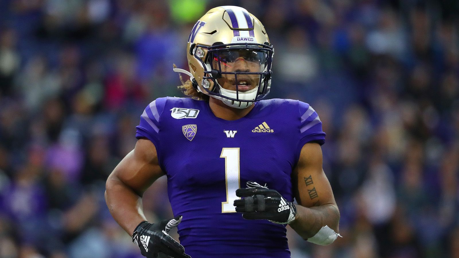 
                <strong>Hunter Bryant (Washington Huskies)</strong><br>
                Der Tight End der Washington Huskies fing in seiner dritten Spielzeit 52 Bälle und verbuchte 825 erlaufene Yards. Außerdem erzielte er drei Touchdowns.
              