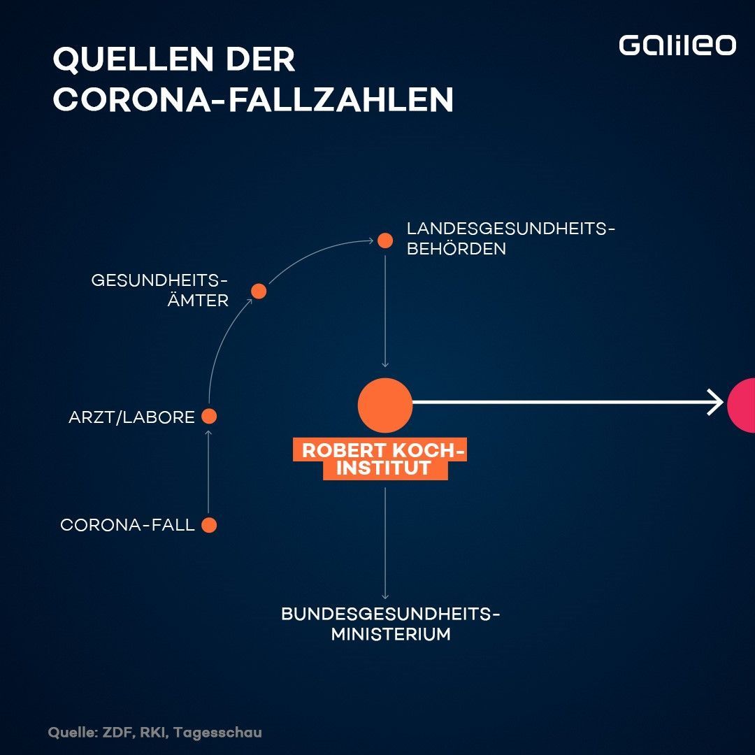 Das RKI veröffentlicht einmal täglich aktuelle Corona-Fallzahlen.