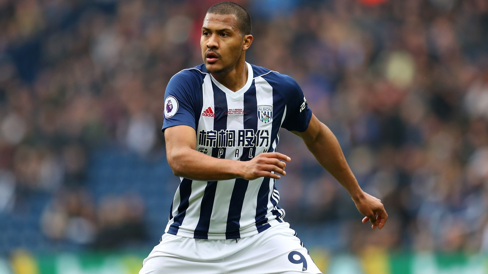 
                <strong>West Bromwich Albion</strong><br>
                Rekordtransfer: Salomon RondonAblösesumme: 17 Millionen EuroVerpflichtet vom: Zenit St. Petersburg (August 2015)
              