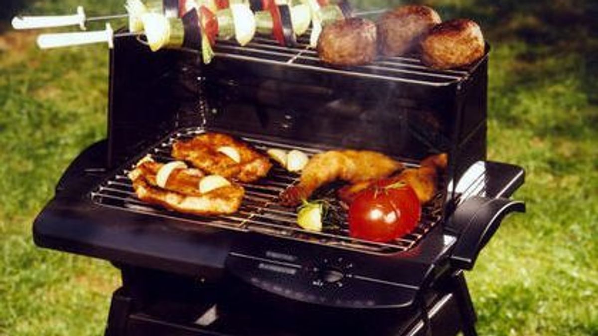 Elektrogrill_im_Garten_Ausschnitt