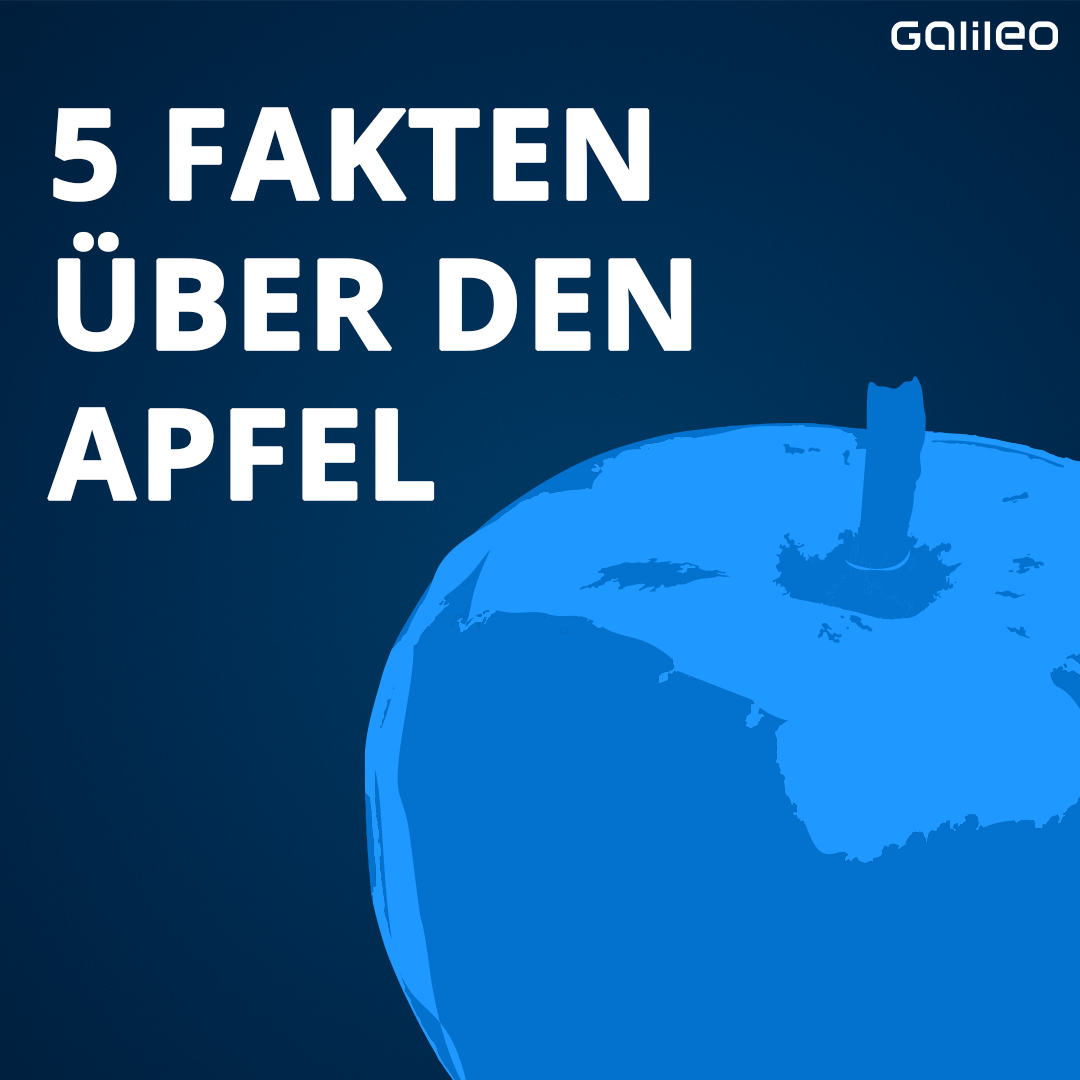 5 Fakten über den Apfel