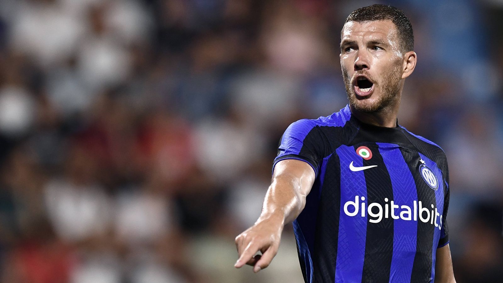 
                <strong>Edin Dzeko (Inter Mailand)</strong><br>
                Ein alter Bekannter aus der Bundesliga wäre auch Edin Dzeko. Der Stürmer von Inter Mailand kommt vom Anforderungsprofil dem von Haller sehr nahe. Der großgewachsene Bosnier weiß auch mit 36 noch, wo das Tor steht und kennt die Bundesliga aus vergangenen Wolfsburger Tagen. Dzeko hat einen Marktwert von vier Millionen Euro und sein Vertrag bei den Mailändern läuft nur noch ein Jahr. Stellt sich nur die Frage, ob Inter ihn ziehen lassen würde, wenn der BVB anklopft.
              