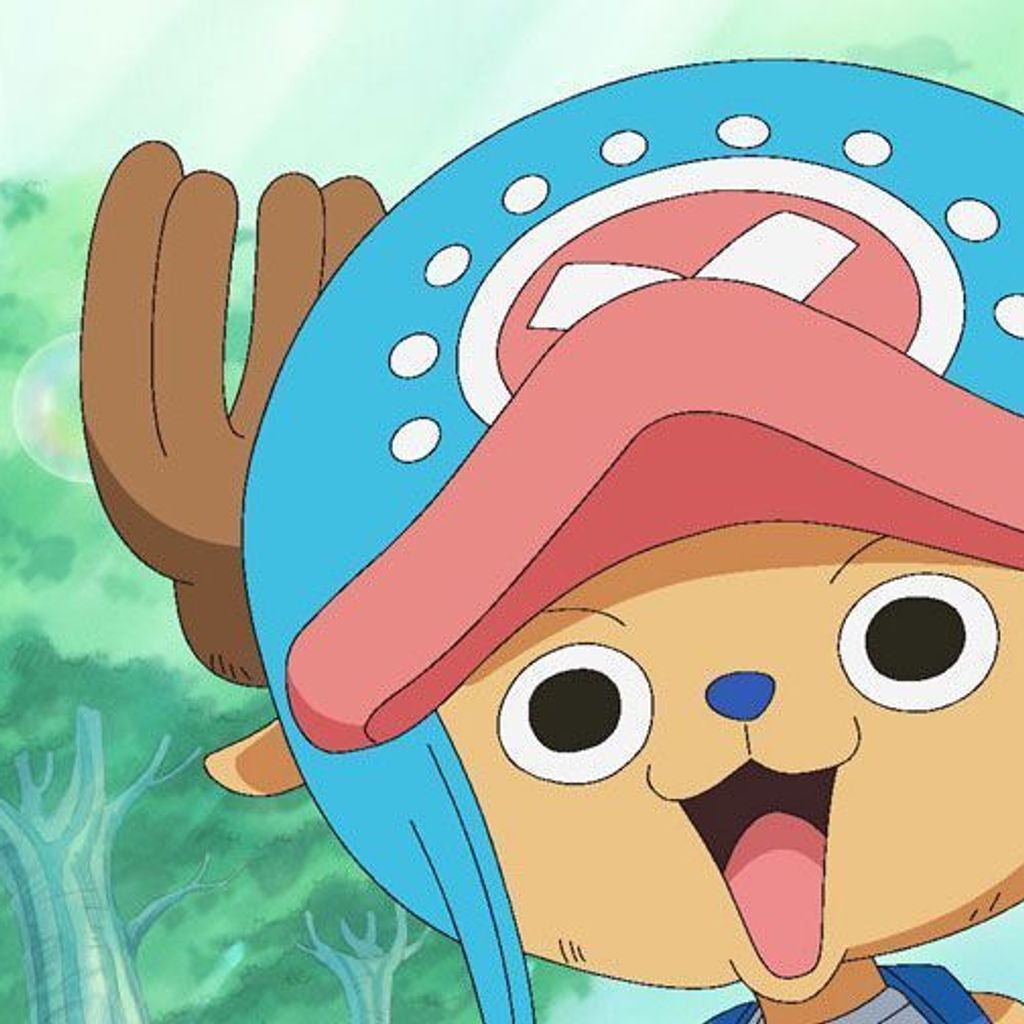 Fakten zu Tony Chopper