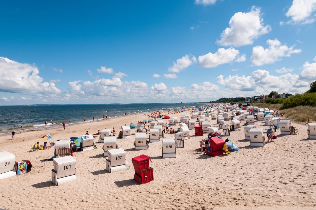 In Mecklenburg-Vorpommern hat es den ersten Todesfall der Saison infolge einer Vibrionen-Infektion gegeben. (Archivbild)