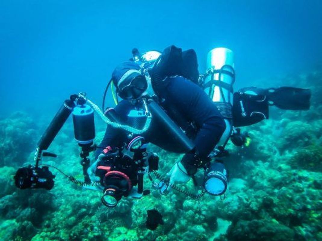 Hier siehst du Unterwasser-Makro-Fotograf Tobias Ehrit in Aktion - mit diesem Sammelsurium verschiedener Makro-Linsen, Lampen, Blitze und Co. taucht Tobias gern ins tiefe Blau des Indopazifiks ab. Dort entstanden auch die farbenfrohen Aufnahmen der obigen Foto-Galerie. Tobias' Lieblings-Models sind Nudis, also Meeresnacktschnecken.