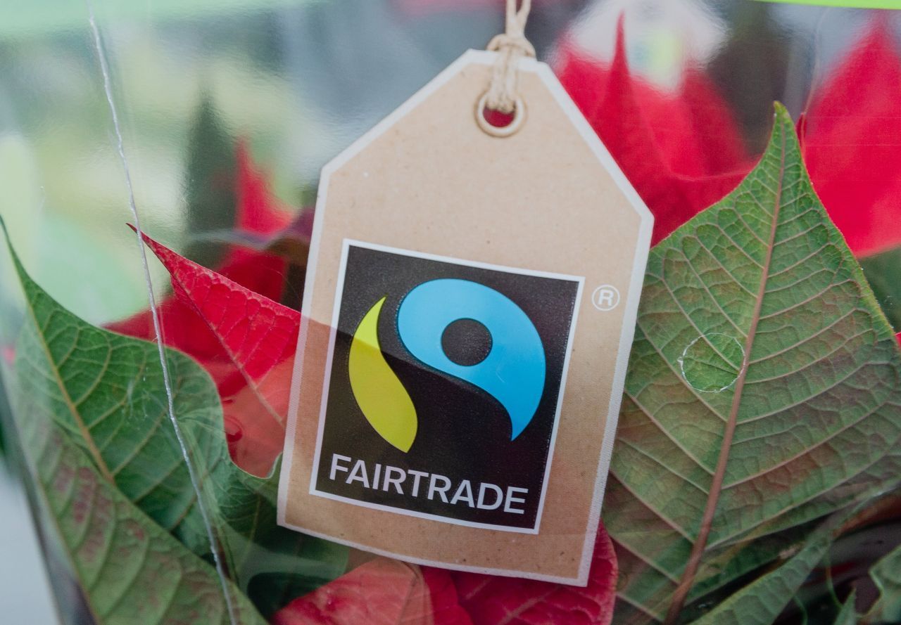 Fairtrade: Das Label kümmert sich international um fairen Handel und sorgt unter anderem dafür, dass bestimmte Mindest- und Markt-Preise eingehalten und somit die lokalen Erzeuger gestärkt werden. BUND-Urteil: Rund die Hälfte der Produkte ist auch bio-empfehlenswert.