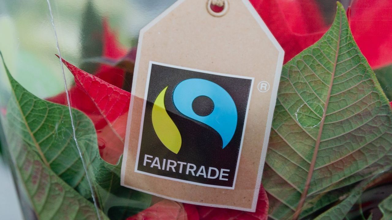 Fairtrade: Das Label kümmert sich international um fairen Handel und sorgt unter anderem dafür, dass bestimmte Mindest- und Markt-Preise eingehalten und somit die lokalen Erzeuger gestärkt werden. BUND-Urteil: Rund die Hälfte der Produkte ist auch bio-empfehlenswert.