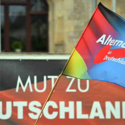 Meinungstrend: AfD bleibt zweitstärkste Kraft