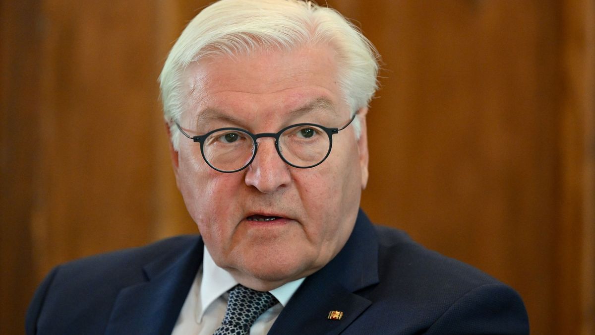 Bundespräsident Steinmeier