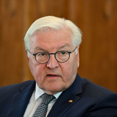 Bundespräsident Steinmeier