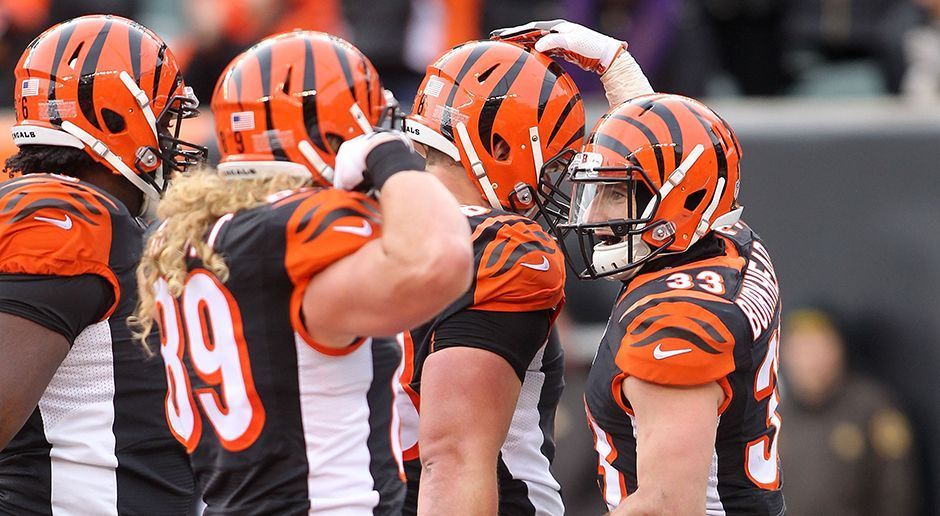 
                <strong>Cincinnati Bengals</strong><br>
                43.130.273 US-Dollar
              