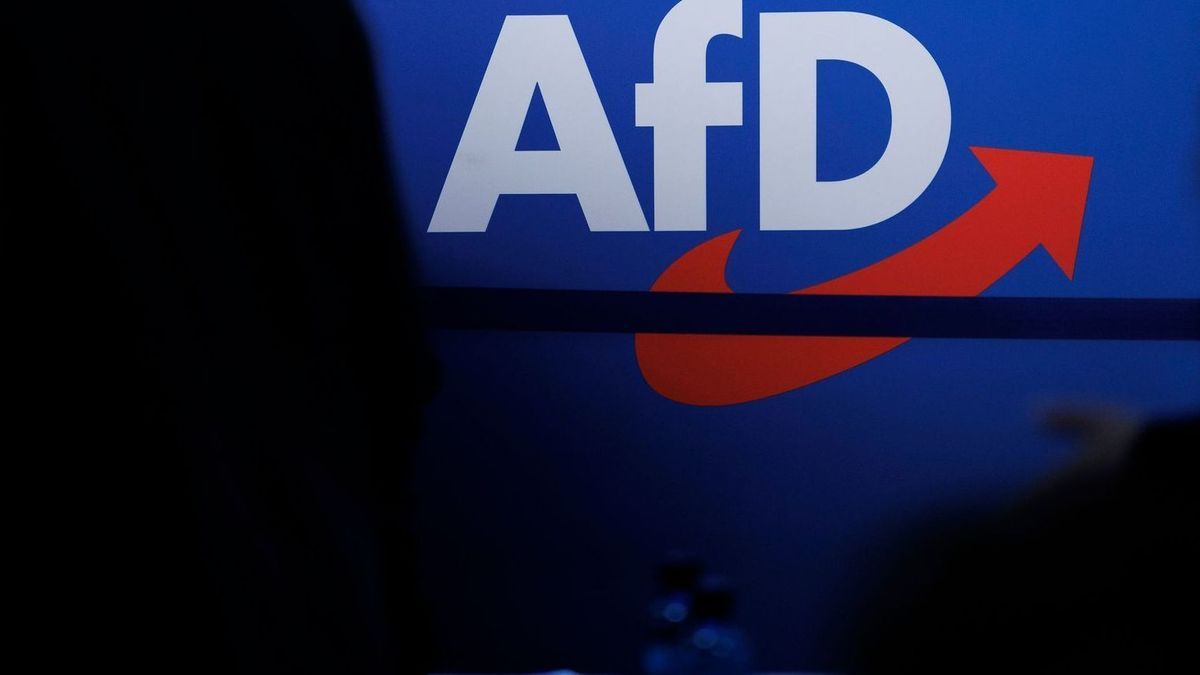 Volksverhetzung? Polizei prüft AfD-«Abschiebeticket»