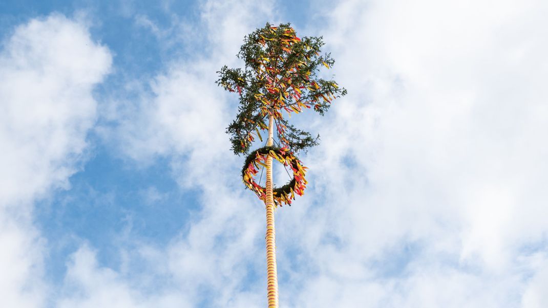 Ein Maibaum steht auf dem Dorfplatz im baden-württembergischen Bisingen.