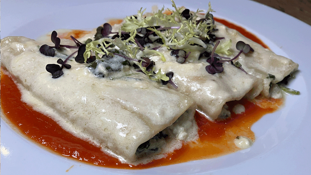 Hausgemachte Cannelloni gefüllt mit Ricotta und Spinat gratiniert mit Tomatensoße