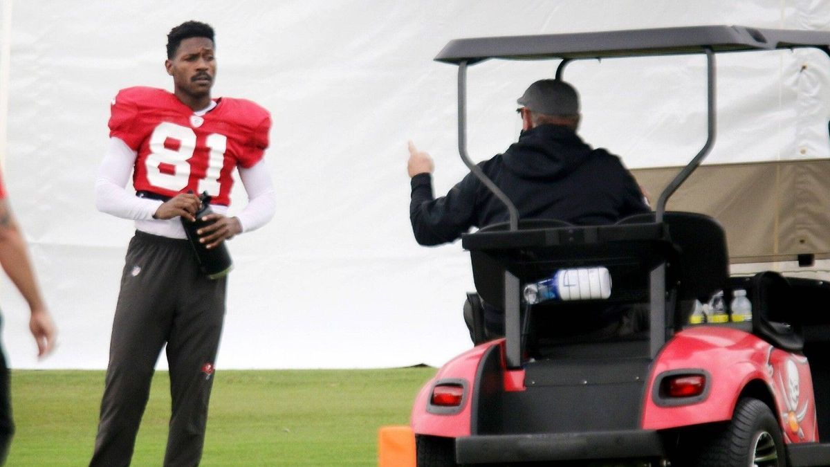 Antonio Brown und Bruce Arians
