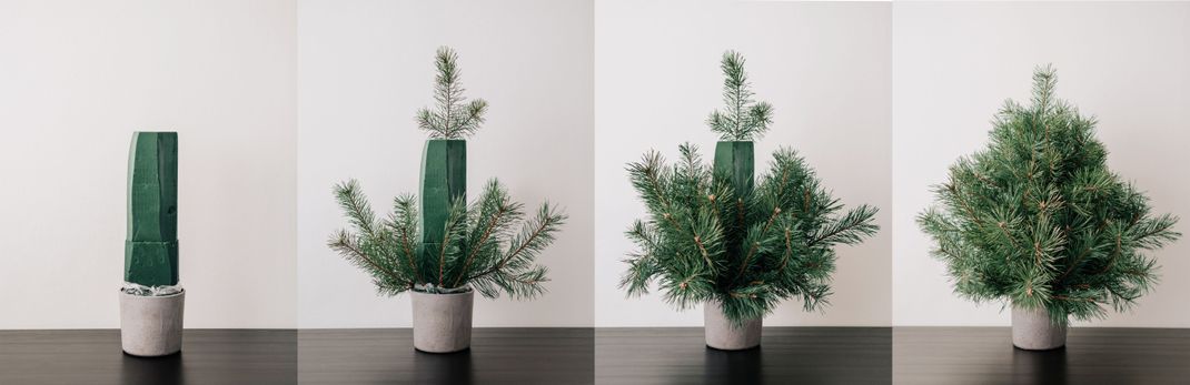 Bei dieser Variante eines DIY-Weihnachtsbaumes müssen Sie nur die Tannenzweige kaufen und können ordentlich Geld sparen.