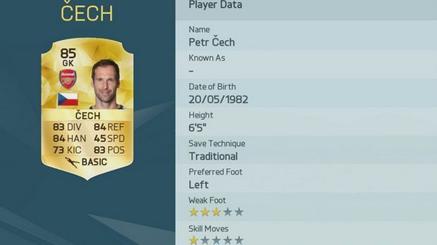 
                <strong>Petr Cech</strong><br>
                Petr Cech
              