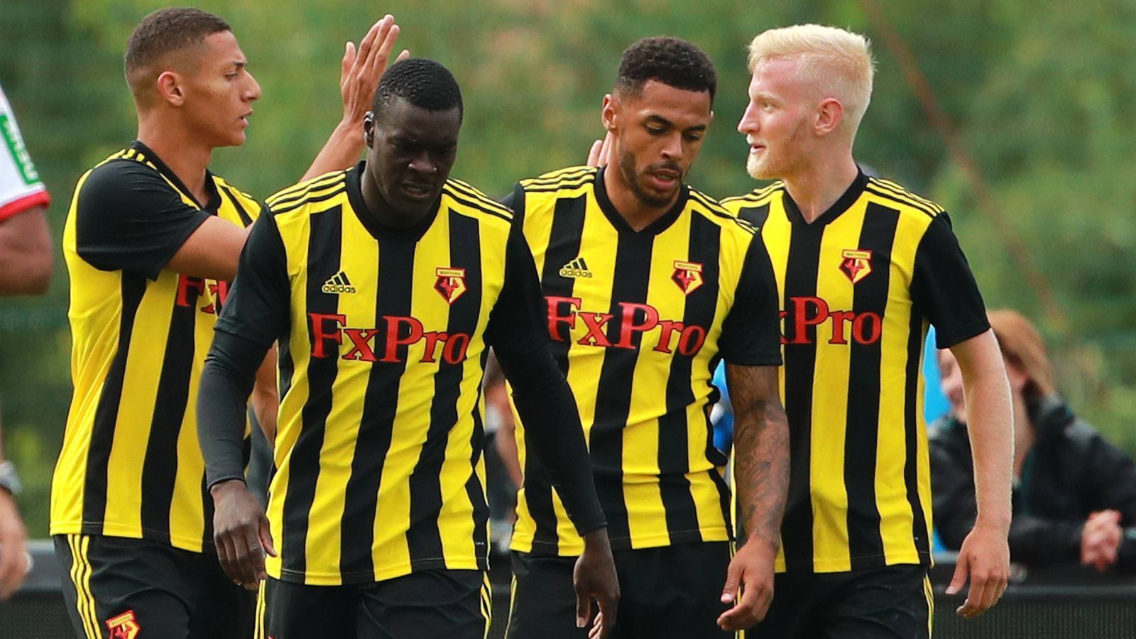 
                <strong>Platz 11: FC Watford - 24,0 Prozent</strong><br>
                
              