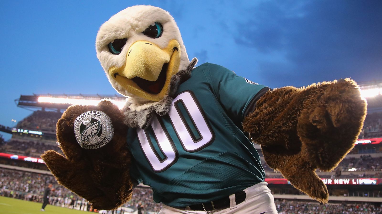 
                <strong>Philadelphia Eagles: Swoop</strong><br>
                Philadelphias Adler heißt Swoop und er hat es sogar schon bis nach Hollywood geschafft. In "Ace Ventura - Ein tierischer Detektiv" liefert sich Jim Carrey eine wilde Schlägerei mit dem Stimmungsmacher der Eagles.
              