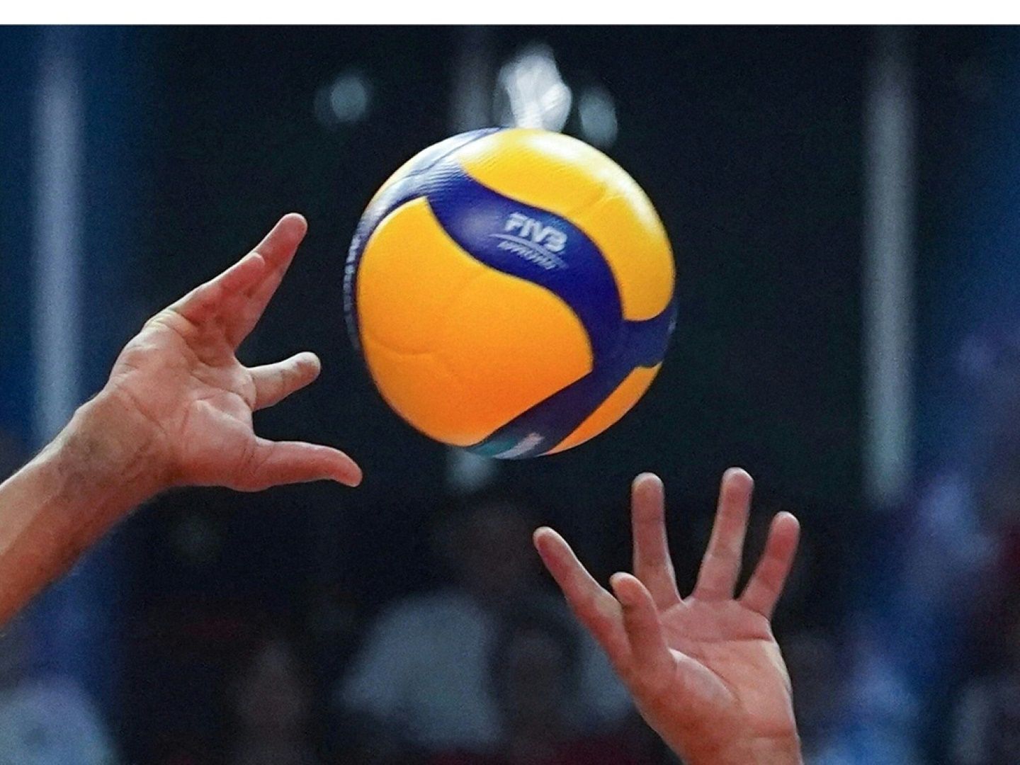 Vier Aufsteiger - Volleyball-Bundesliga mit zwölf Teams