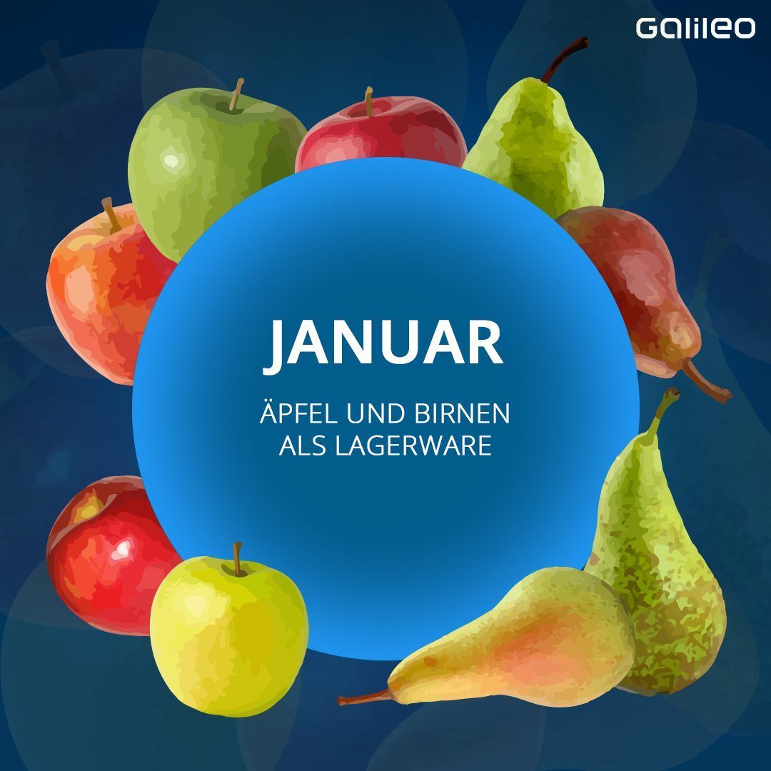 Saisonkalender Obst