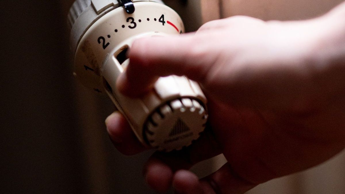 Heizkörper und Heizthermostat