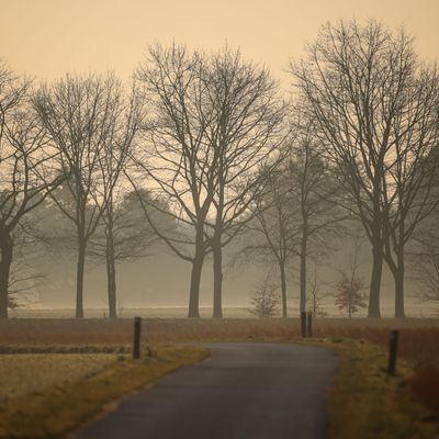 Archivaufnahme 10. März 2025, Düsseldorf: Saharastaub färbt die Luft im dunstigen Morgenlicht gelb.
