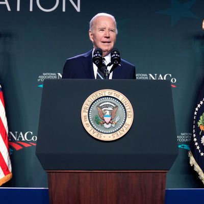 Biden ist der älteste US-Präsident aller Zeiten und möchte bei der anstehenden Wahl im November für eine zweite Amtszeit antreten.