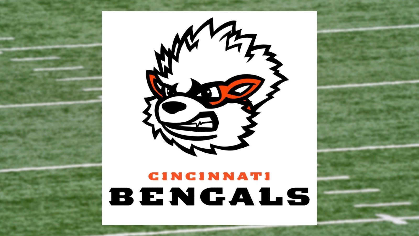 
                <strong>Cincinnati Bengals</strong><br>
                Pokemon: Arkani
              