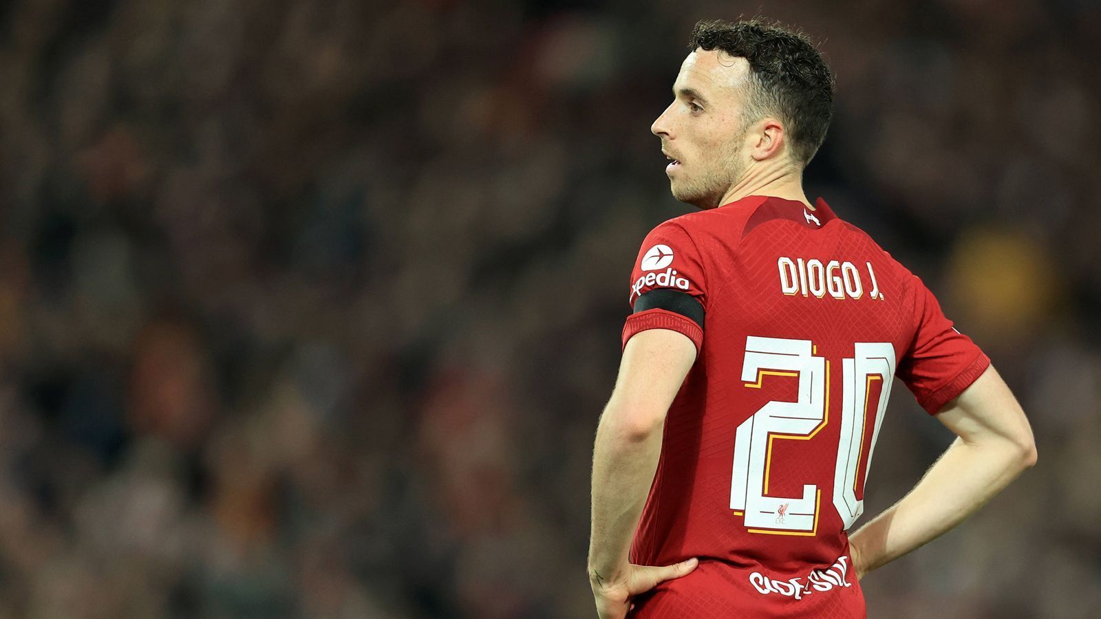 
                <strong>Diogo Jota (FC Liverpool/Portugal, 28 A-Länderspiele)</strong><br>
                Portugal muss bei der WM auf einen brandgefährlichen Stürmer verzichten. Diogo Jota wird nicht mit nach Katar reisen können. Der Spieler des FC Liverpool habe sich "eine ziemlich ernste Verletzung des Wadenmuskels" zugezogen, bestätigte Trainer Jürgen Klopp. Der 25-Jährige müsse zwar nicht operiert werden, soll aber dennoch für lange Zeit ausfallen. Der Portugiese musste im Kracher-Duell gegen Manchester City mit einer Trage vom Platz gebracht werden. Bereits dort war eine schlimmere Verletzung zu erahnen.
              