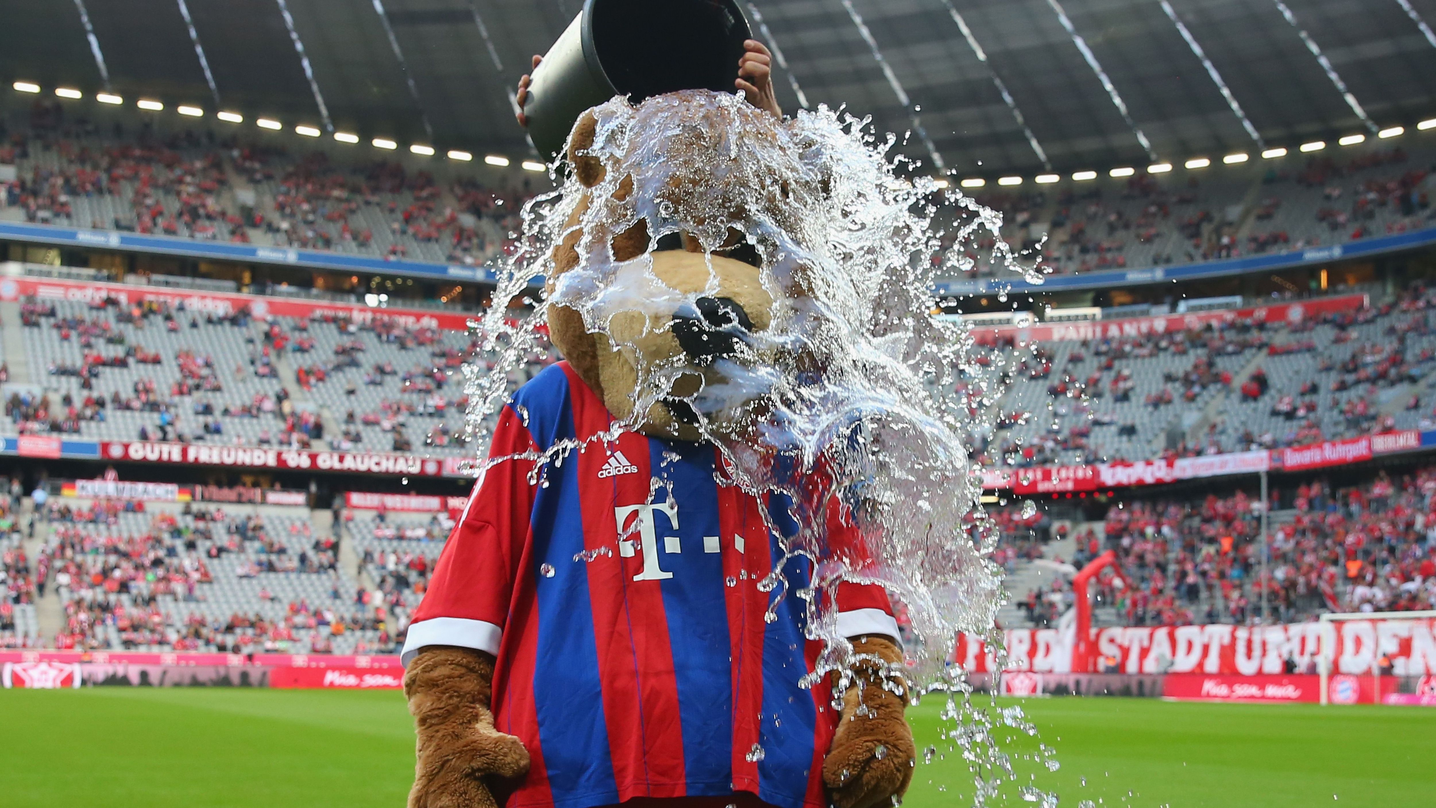 <strong>Saison 2014/15</strong><br>Tabellenspitze nach dem 21. Spieltag: <strong>FC Bayern</strong> 8 Punkte vor dem VfL Wolfsburg<br>Deutscher Meister: <strong>FC Bayern</strong> (10 Punkte vor dem VfL Wolfsburg)