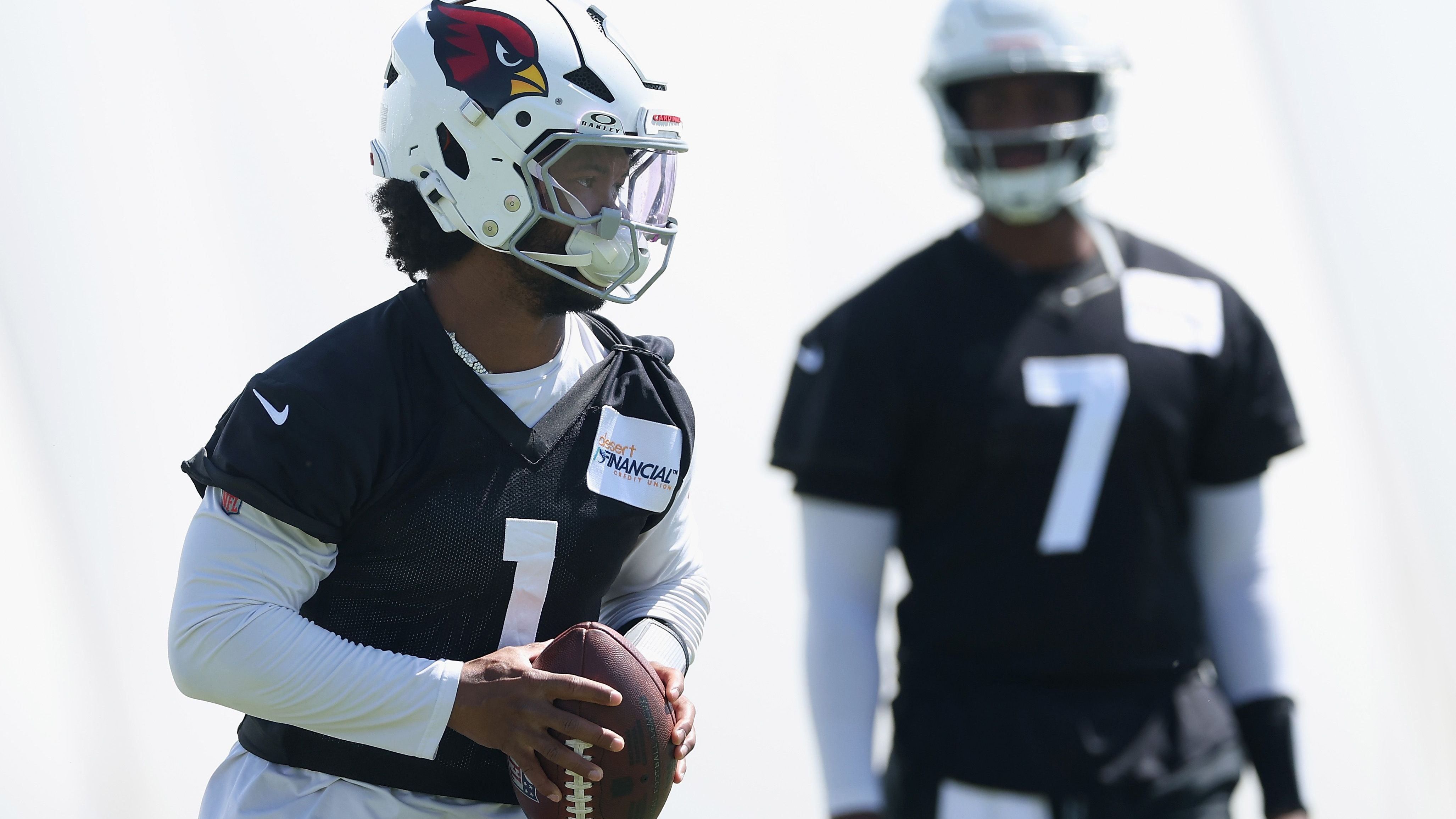 <strong>Arizona Cardinals (weniger als 1 Prozent)</strong>