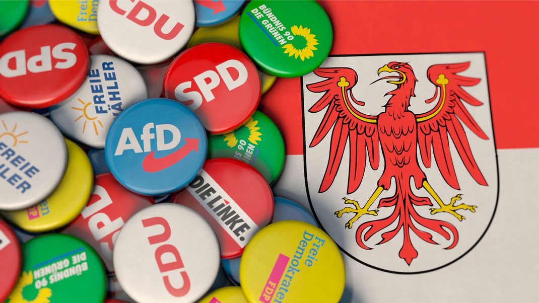 Die AfD kann laut Umfragen nach den Wahlerfolgen in Sachsen und Thüringen auf einen Wahlsieg in Brandenburg hoffen.